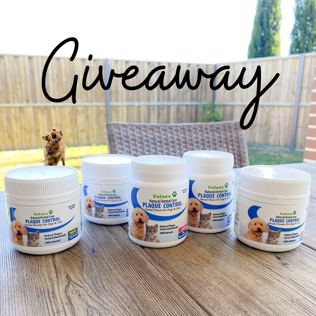 August Is Pet Dental Health Month! Vetnex Is Giving Away 50 Natural Dental Care Plaque Control Products